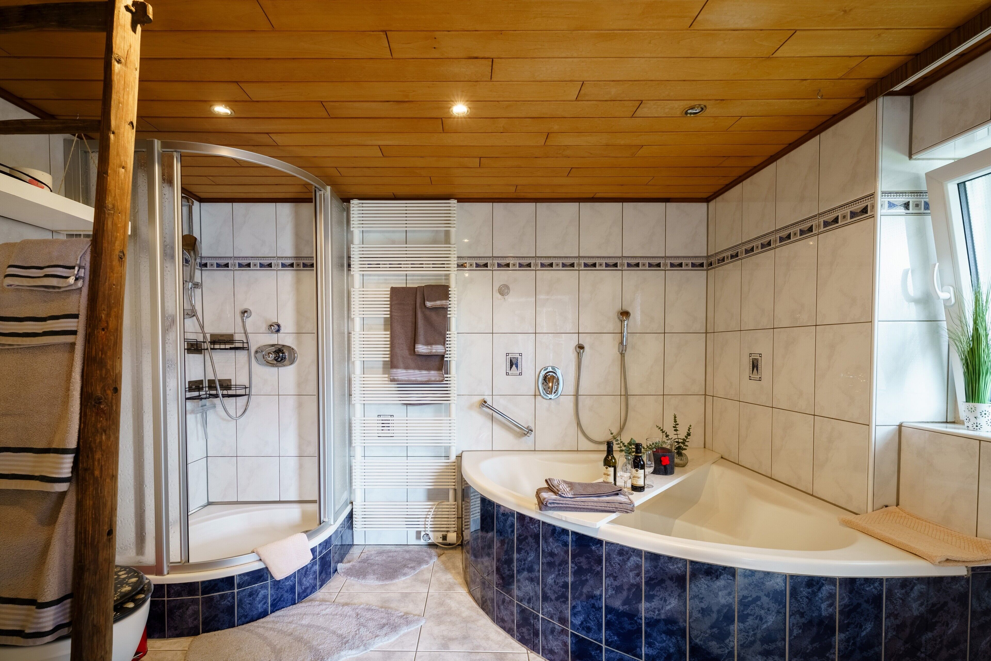 Shower, free toiletries, hair dryer, towels