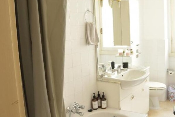 Shower, hair dryer, bidet, towels