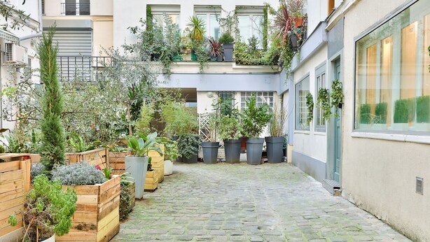 A narrow cobblestone courtyard with wooden planters and potted plants. - UrbanFlat 113 - Groundfloor Apartment Paris Historic Center (París)