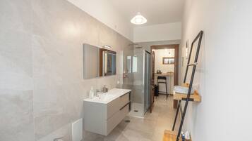 Shower, hair dryer, bidet, towels