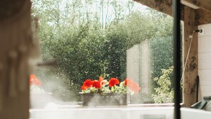 Vista pela janela, com teto de madeira, jardim com flores vermelhas e uma parede branca ao fundo.