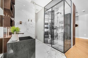 Shower, hair dryer, towels