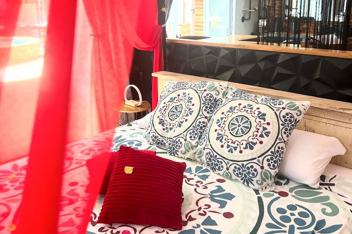 A bed with patterned bedding, a red pillow, and a canopy.