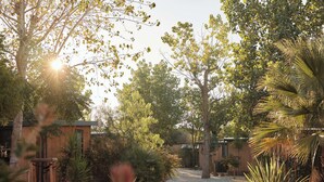 A pathway leading through a garden with various plants and trees. There are wooden structures and a fence visible in the background. - Blendin Agde  (Agde)