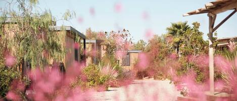 A building with a modern design, surrounded by natural vegetation and a clear sky.