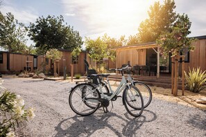 Bicycling