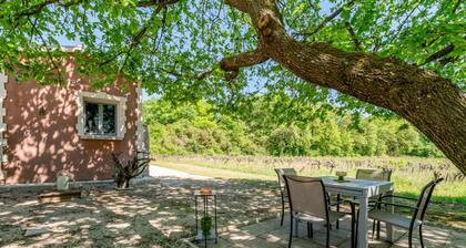 La Petite Maison in the Vineyard