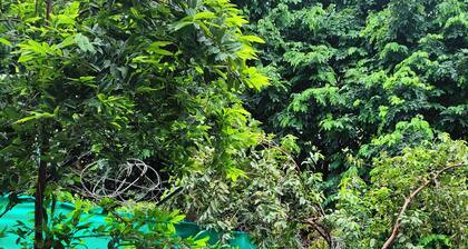 Let'stay DLF Phase- 1, Gurugram