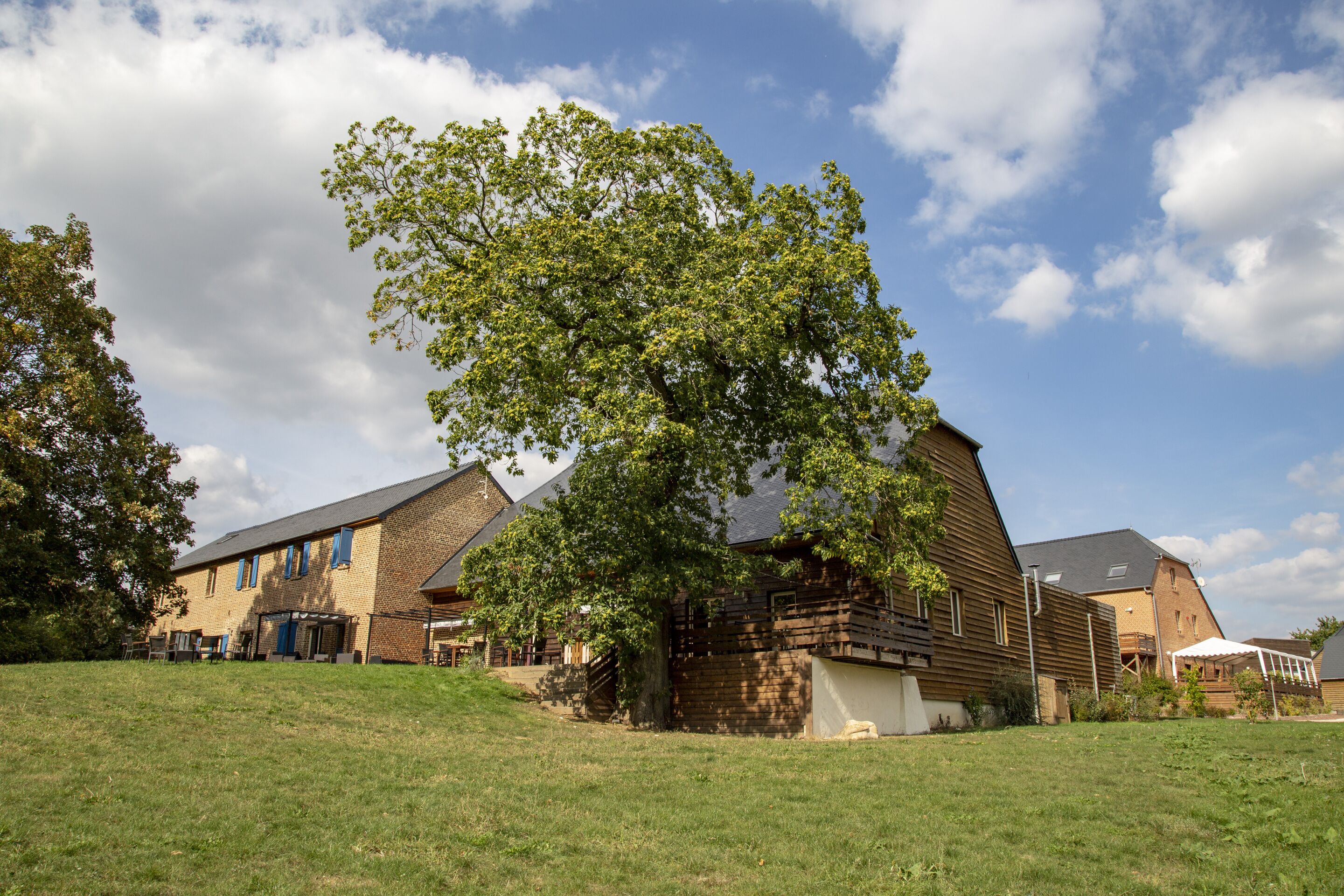 A building with a sloped roof, a large tree in front, and a grassy area.