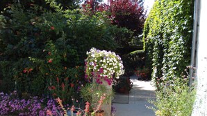 Un sentier de jardin bordé de différentes plantes à fleurs et d’un mur de pierres.