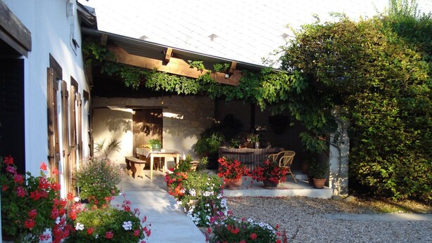 Une cour avec une pergola en bois, une table et des chaises, ainsi que des plantes en pot ornées de fleurs.