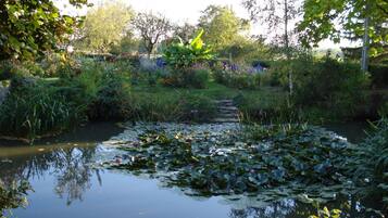 Un jardin paisible avec un étang, entouré d’une végétation luxuriante et de plantes en fleurs.