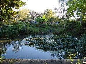 Un jardin paisible avec un étang, entouré d’une végétation luxuriante et de plantes en fleurs.