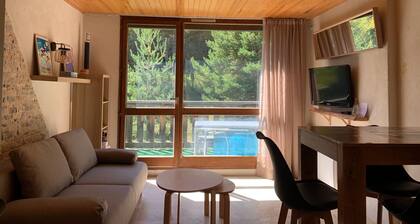 Renovated studio for 4, balcony, forest mountain view