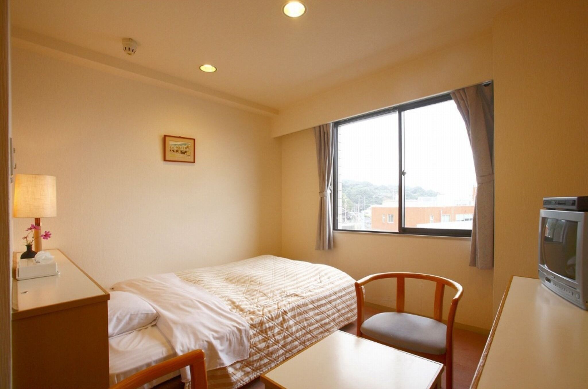 Habitación de hotel con una cama individual, un escritorio con televisor, una silla, una ventana con cortinas y un cuadro en la pared.
