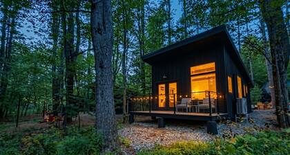 Modern, Luxurious, Cabin in the Woods - 05