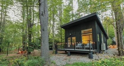 Modern, Luxurious, Cabin in the Woods - 05