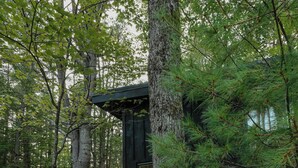 A cabin in a forest with a deck and string lights. - Nature view cabin in the pines w/ full bath - 05 (Freeport)