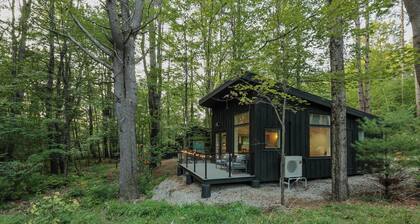 Modern, Luxurious, Cabin in the Woods - 05 (ADA)