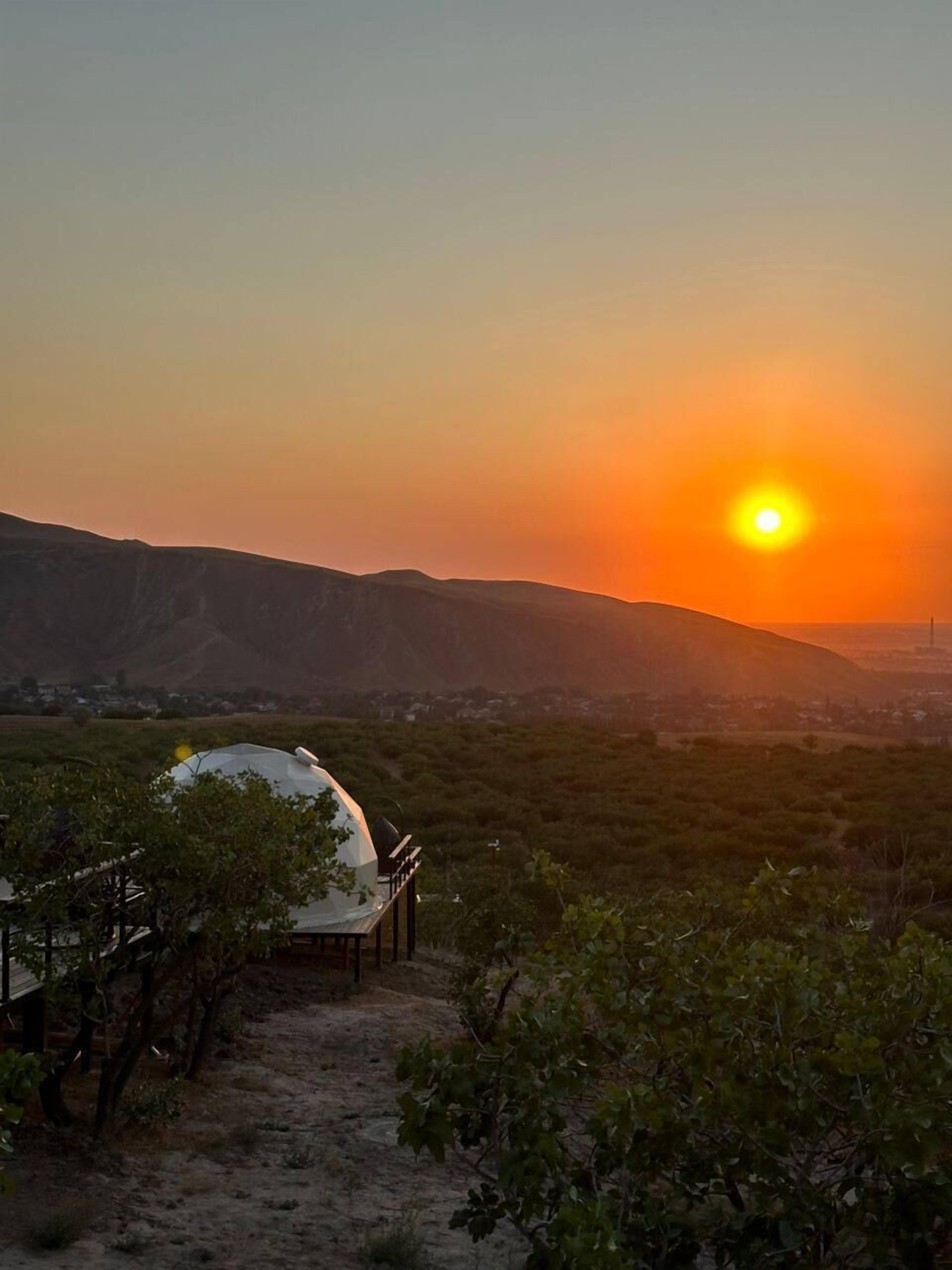 A vineyard with a white building featuring a dome structure, surrounded by hills.