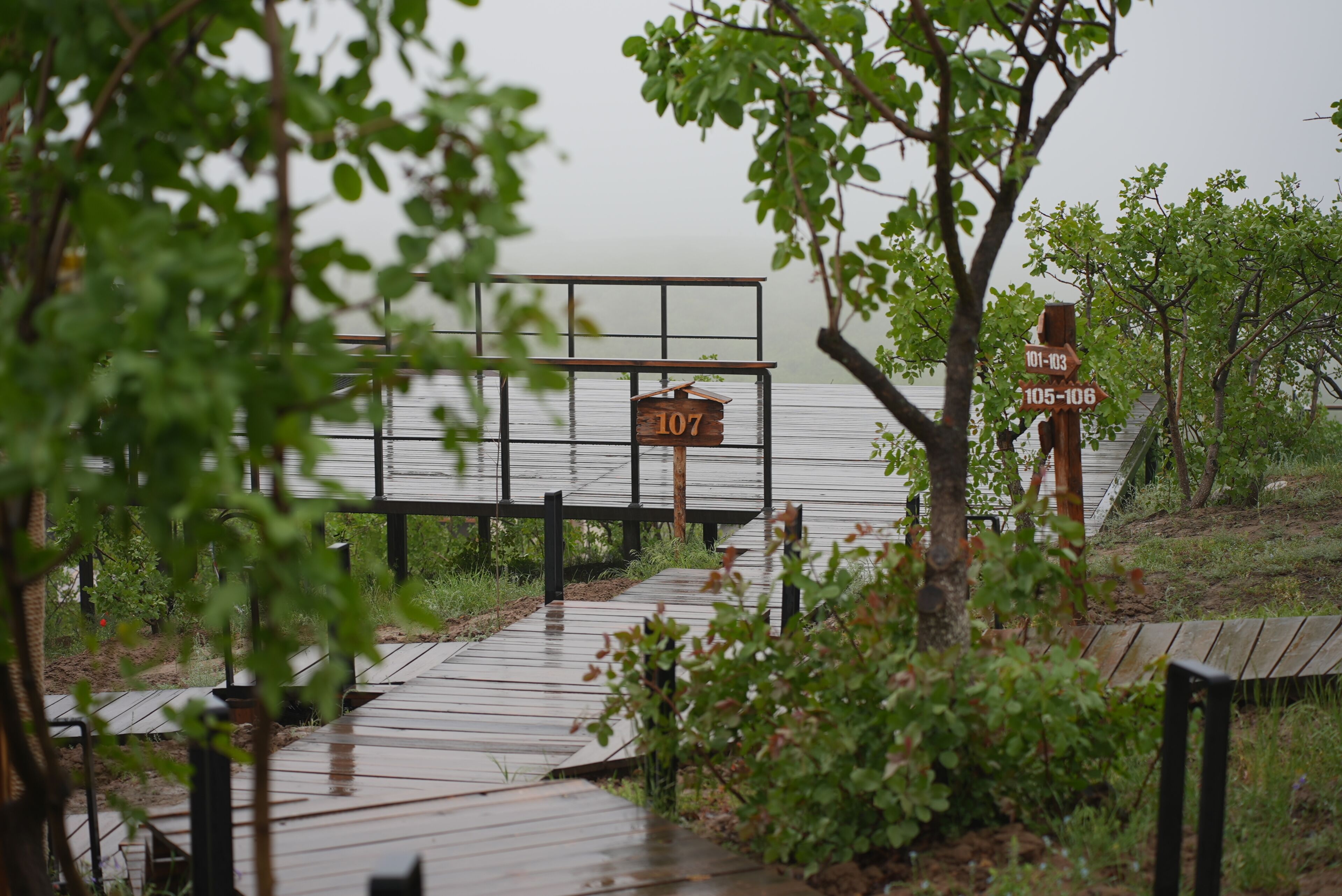 A wooden pathway leading to a dock with a sign indicating the number 107.