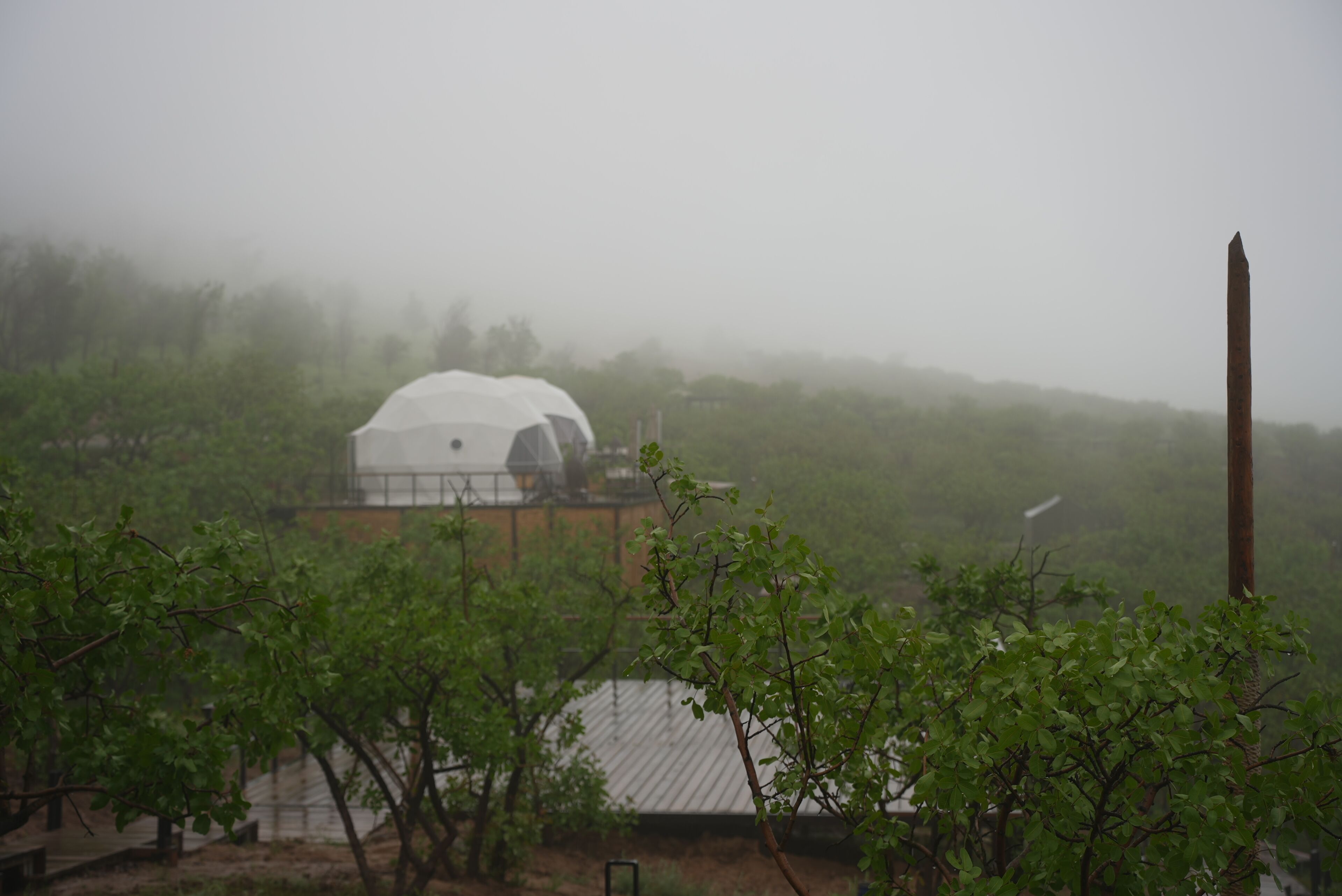 A dome-shaped building surrounded by trees, with a tall, narrow structure to the right.