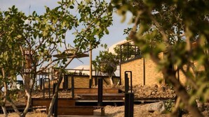 Outdoor wooden steps leading to a building with a glass facade. - EcoHouse Glamping by ART HOTEL (Bishkek)