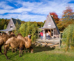 A rustic wooden cabin with a fenced area, surrounded by greenery and trees. - CERZA SAFARI LODGES (Hermival-les-Vaux)