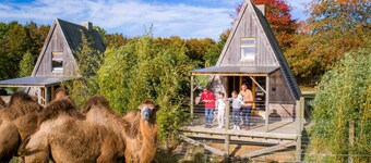 CERZA SAFARI LODGES