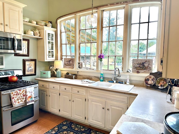 Fridge, oven, stovetop, cookware/dishes/utensils