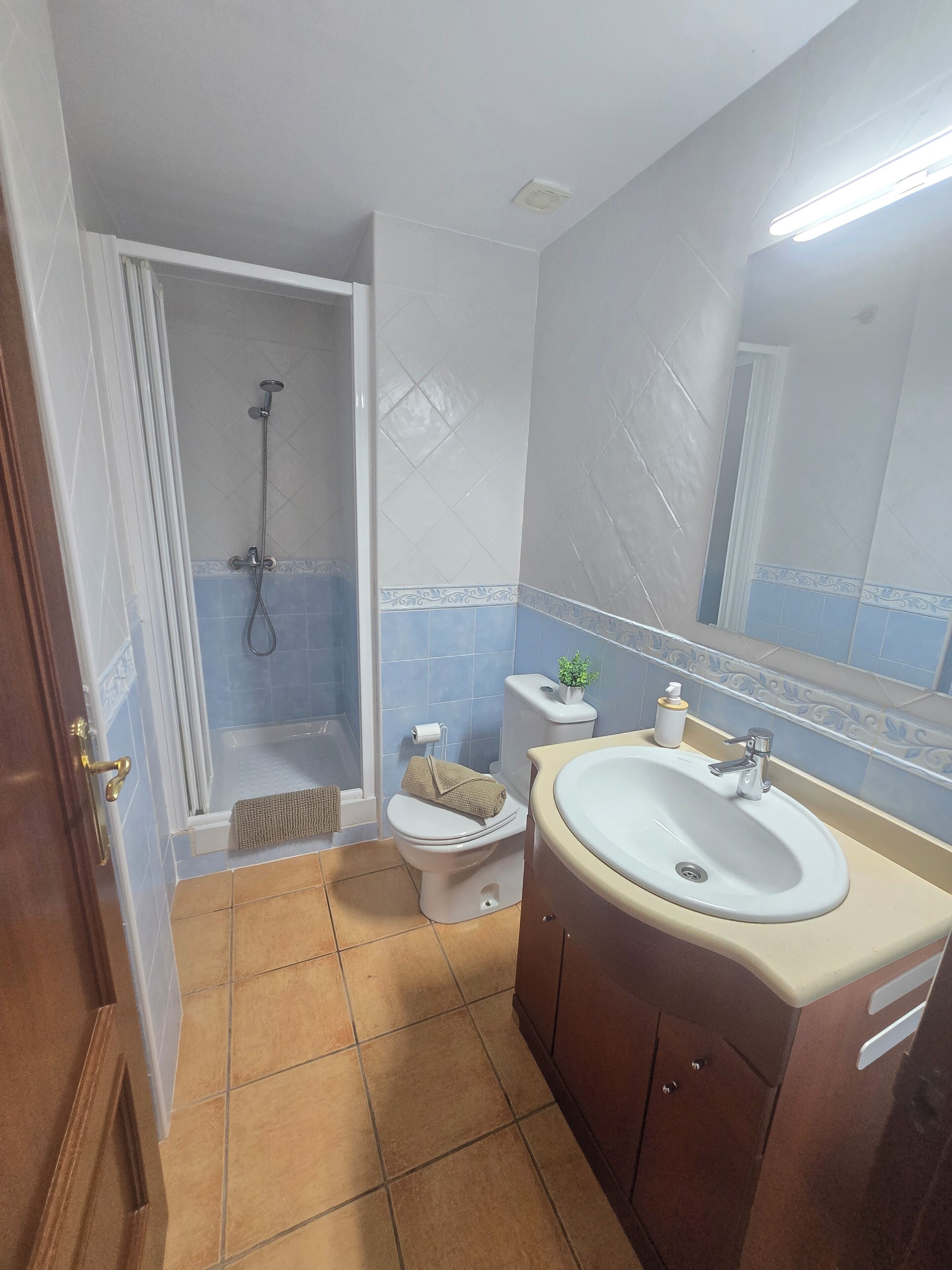 Secador de pelo, toallas, jabón y papel higiénico