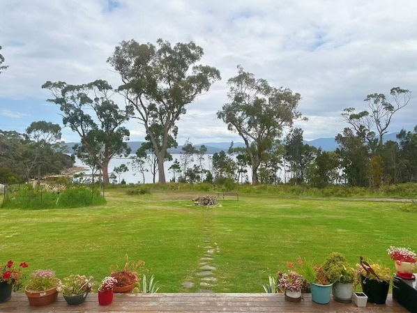 A grassy area with a bench, potted plants, and trees in the background.