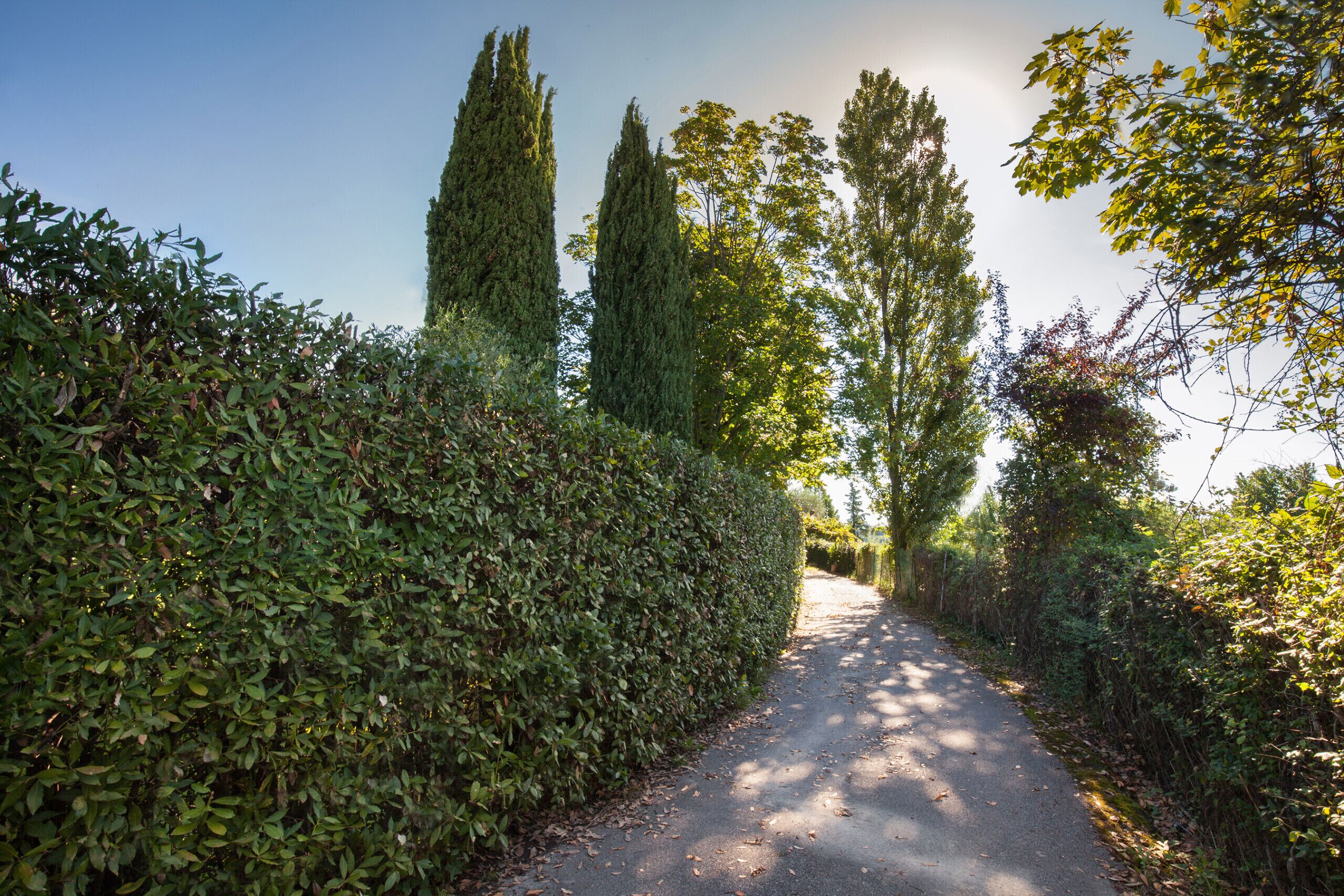 Àrea exterior de l'allotjament