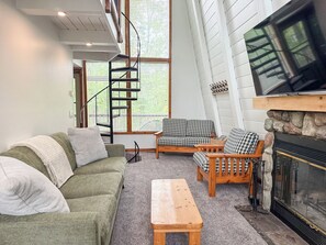 Smart TV, fireplace, books