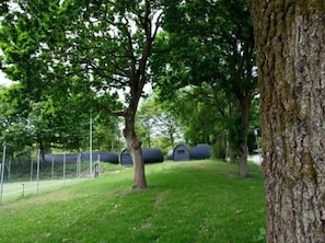 House | Property grounds