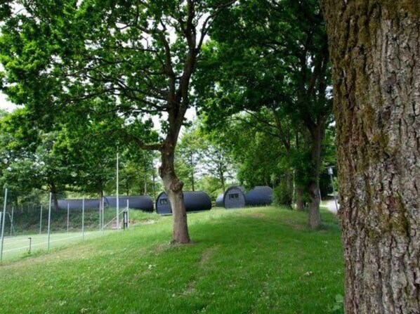 House | Property grounds - 6 Person Holiday Home in Oksbol-by Traum (Oksbol)