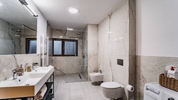 Shower, hair dryer, bidet, towels