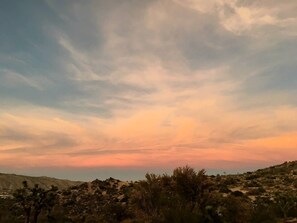 A desert landscape with sparse vegetation and a clear sky.