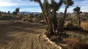 A desert landscape with sparse vegetation, including a distinctive Joshua tree, and a clear sky. - Romantic Yucca Valley Cabin with Hot Tub (Yucca Valley)
