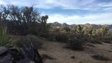 A dry, rocky landscape with sparse vegetation and distant mountains under a clear sky.