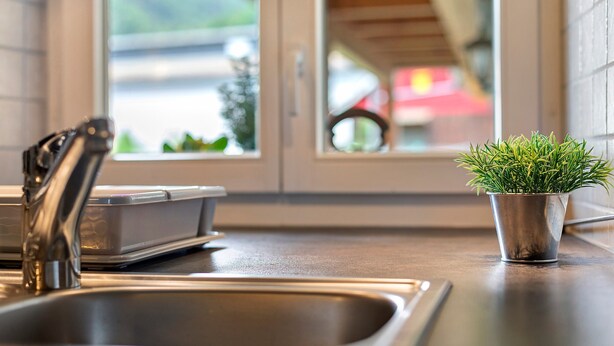 A kitchen with a stainless steel sink, a potted plant, and a window with a view of a red umbrella. - Apartment 'Belchenwind Typ B, 65sqm, Terrace' with Mountain View, Private Terrace & Wi-Fi (Münstertal)