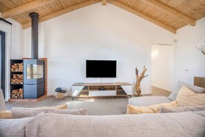 Télévision, cheminée