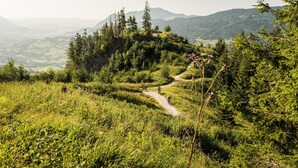 Ein Bergpfad, umgeben von dichtem Wald und Hügeln im Hintergrund.