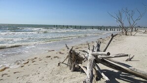 A beach with driftwood and a wooden pier extending into the water. - Estero Beach & Tennis Club 1105A! Gorgeous Direct Gulf View! (Fort Myers Beach)