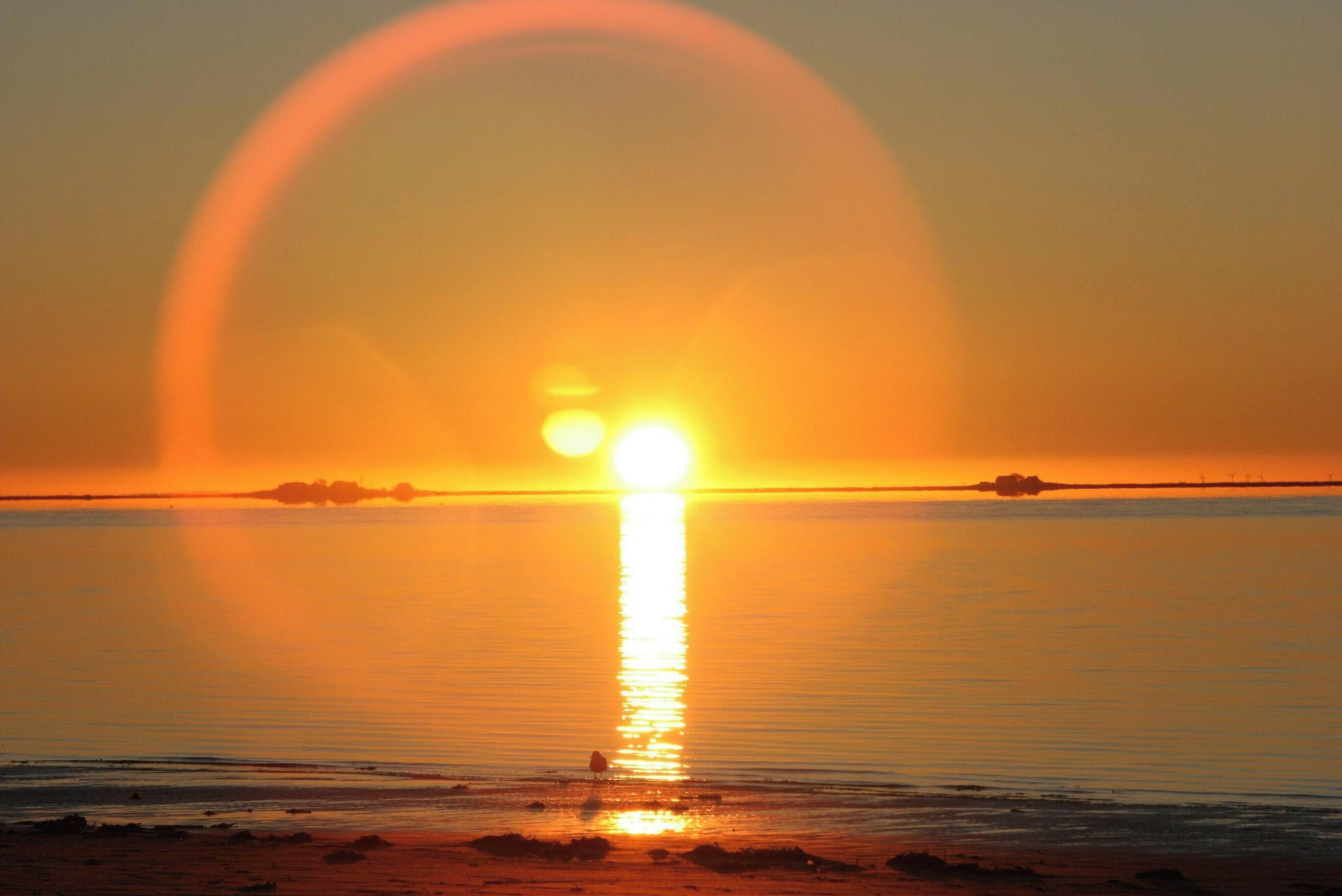 Ein Sonnenuntergang über ruhigem Wasser mit klarem Horizont.