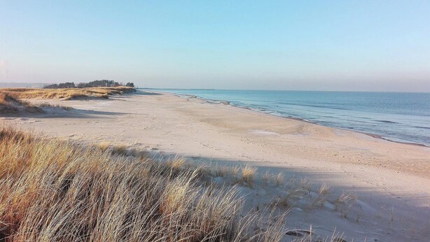 Een strand met zand en schaarse begroeiing.