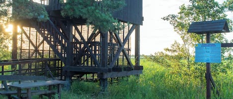 Una torre de madera con un cartel sobre aves reproductoras.