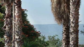 Villa | 3 habitaciones y internet