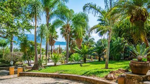 Ein tropischer Garten mit Palmen, einem Pfad und Blick auf das Meer.