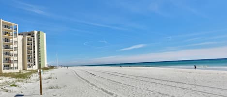 On the beach
